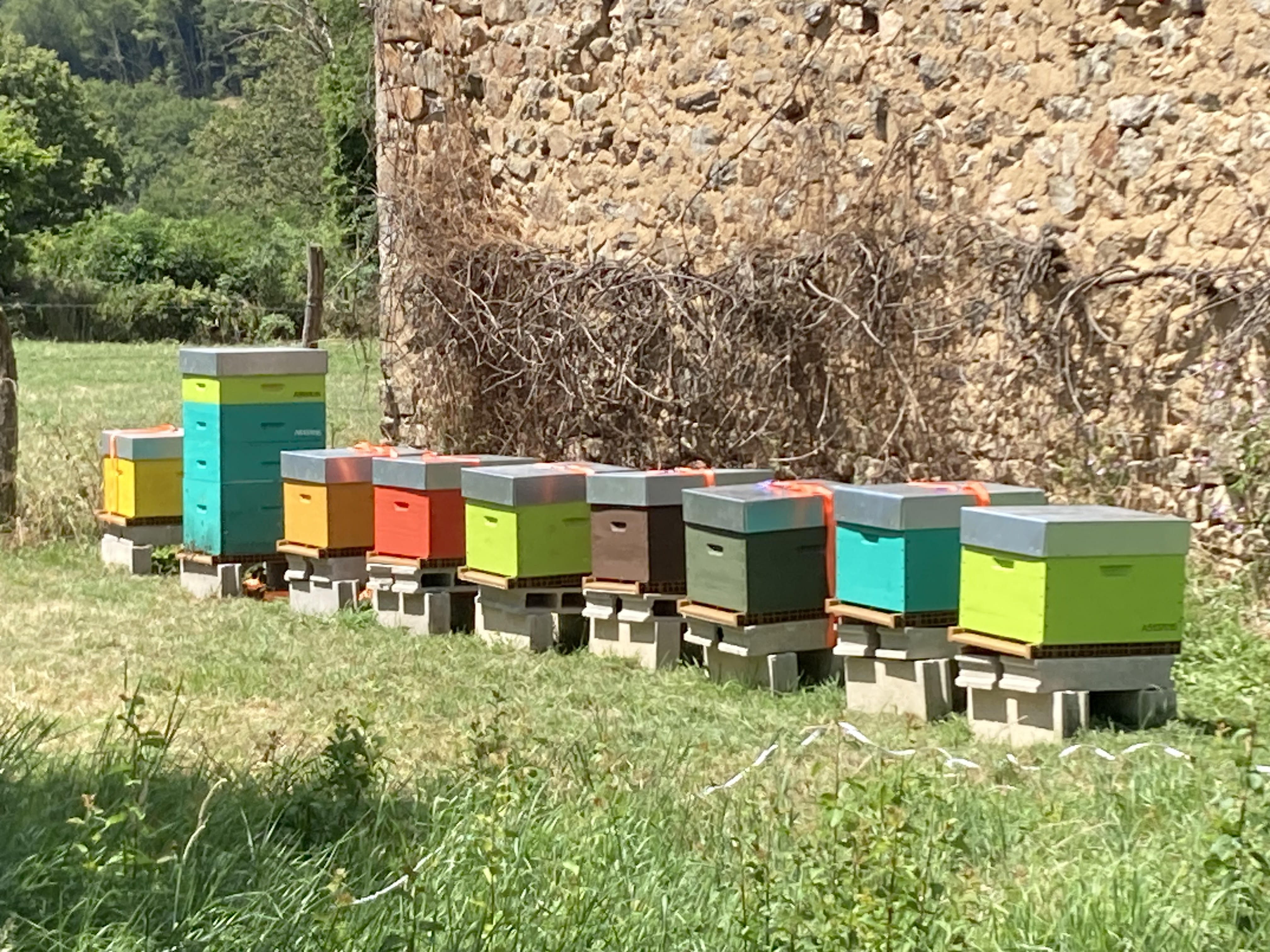 Ruches en bois dans une clairière du Morvan
